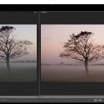 learn the simple tricks of developing a photo in Lightroom