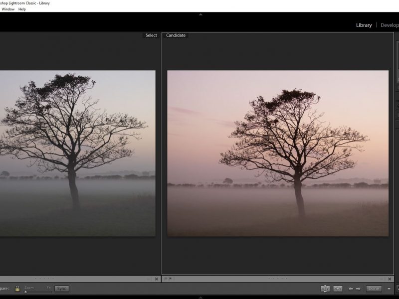 learn the simple tricks of developing a photo in Lightroom