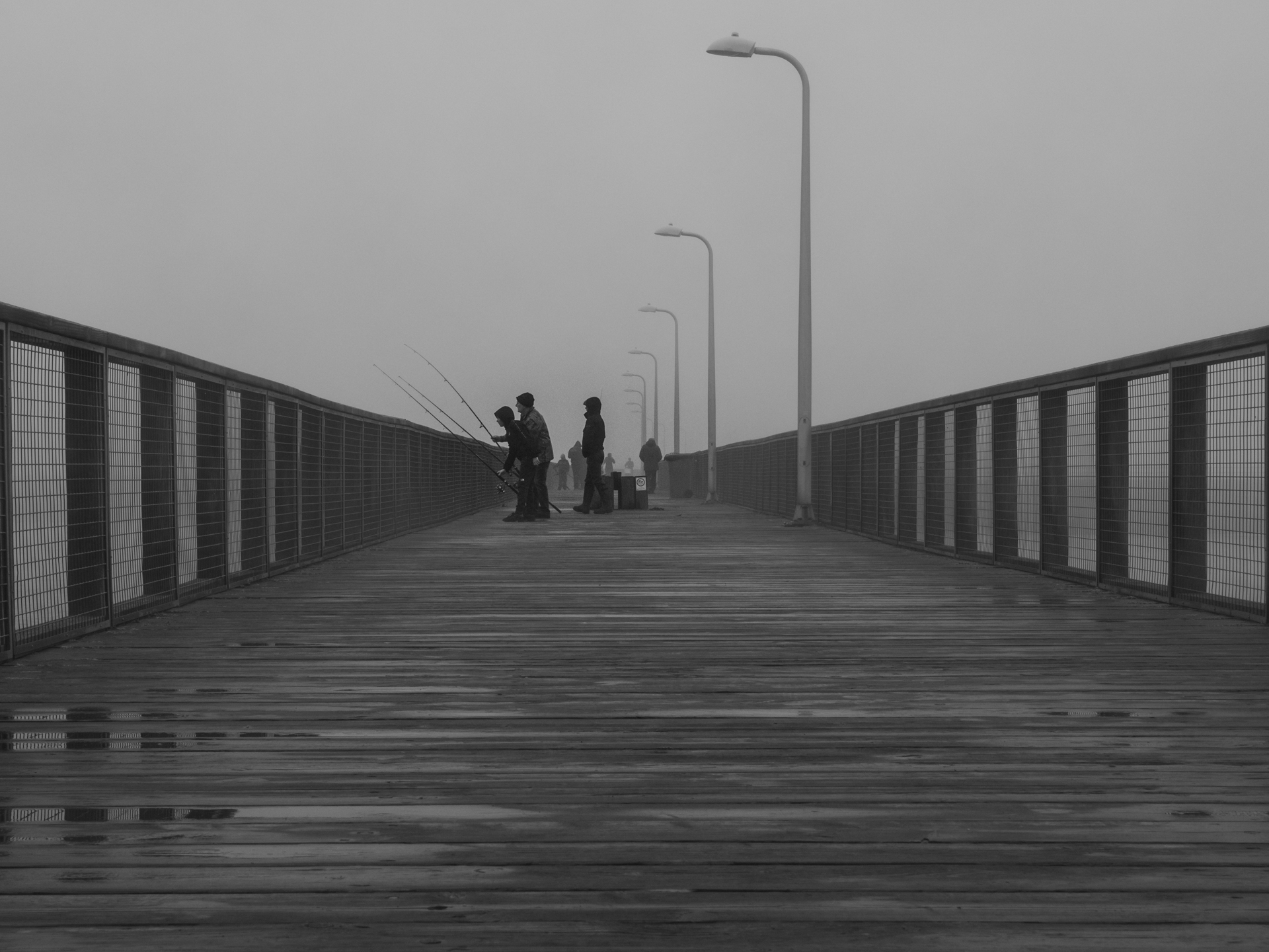 Gone Fishing in the fog