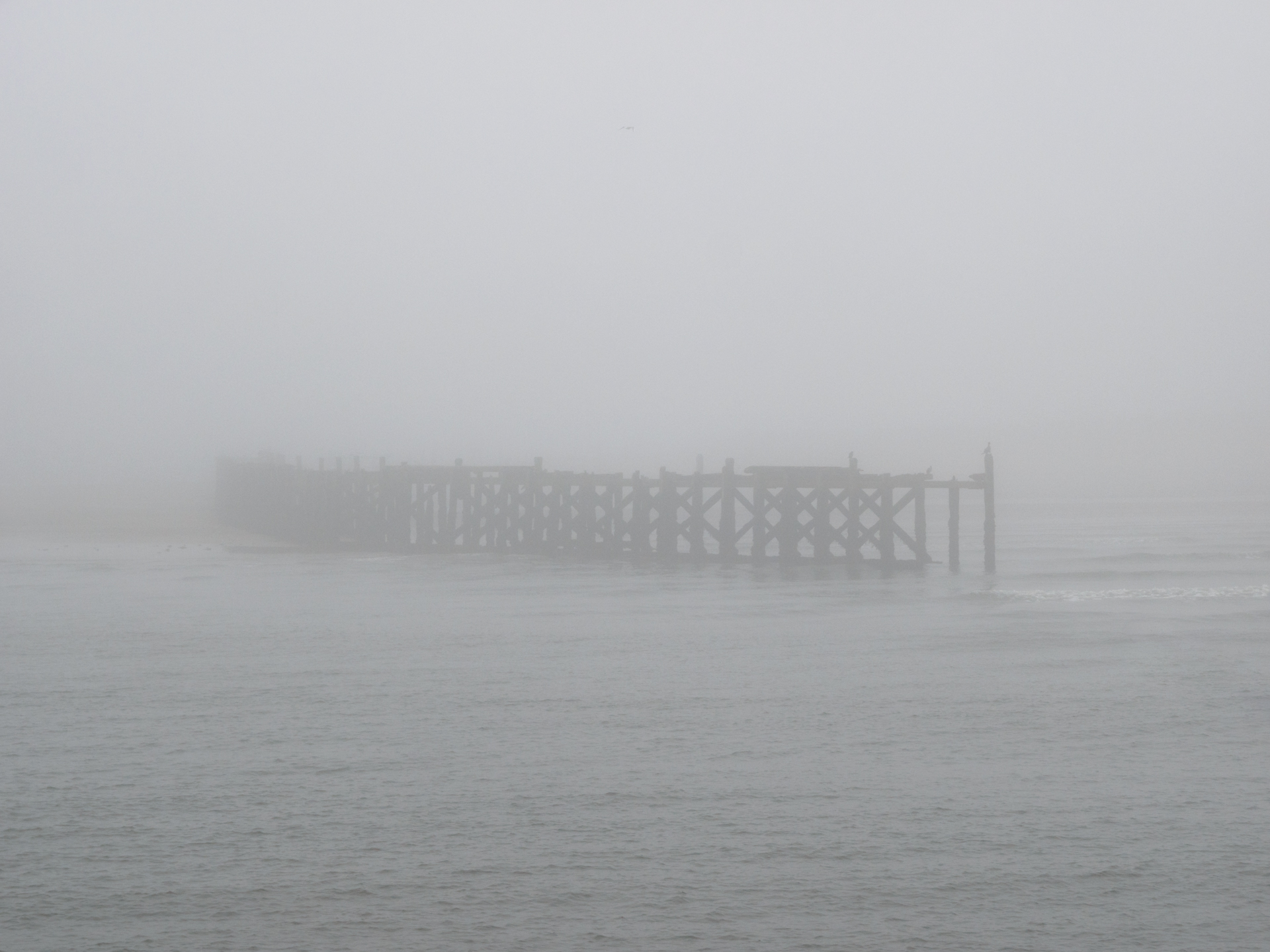 North Pier in the fog