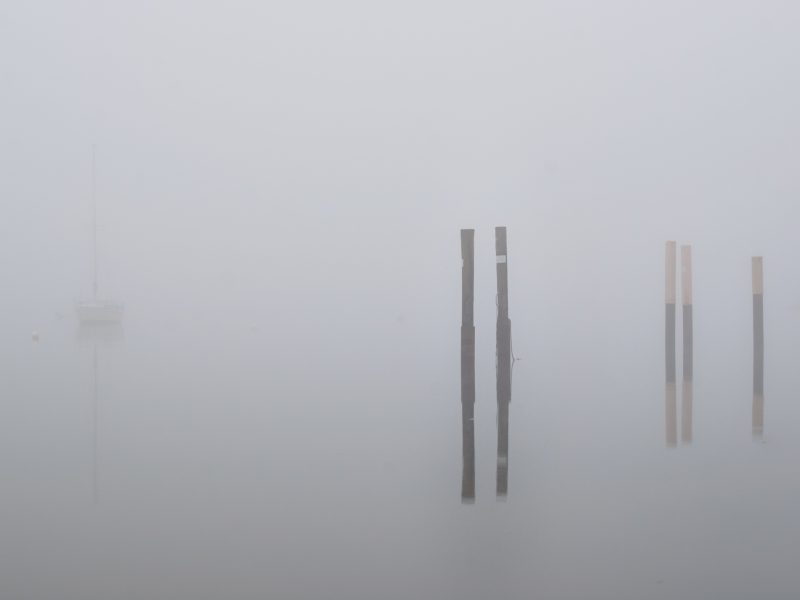 foggy morning, stakes in the water