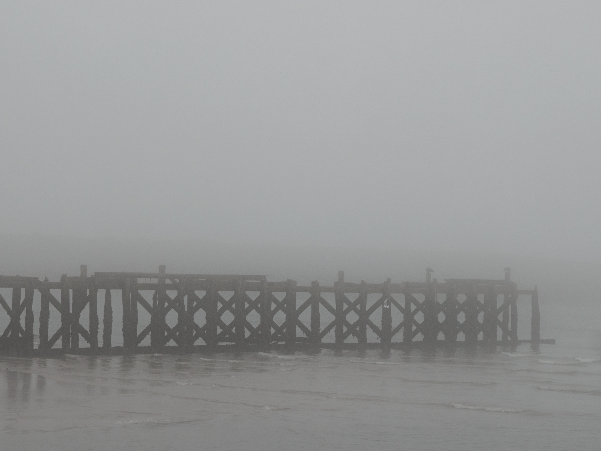 North Pier, shrouded in fog