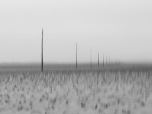 An abstract view of the seashore.