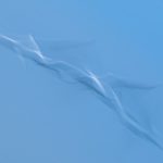 An abstract photo of a flying tern that could be a GCSE, A-level or NVQ subject
