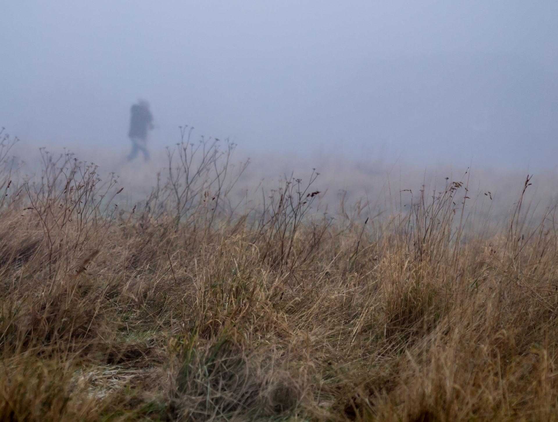 saftey in the fog - keeping safe when out alone