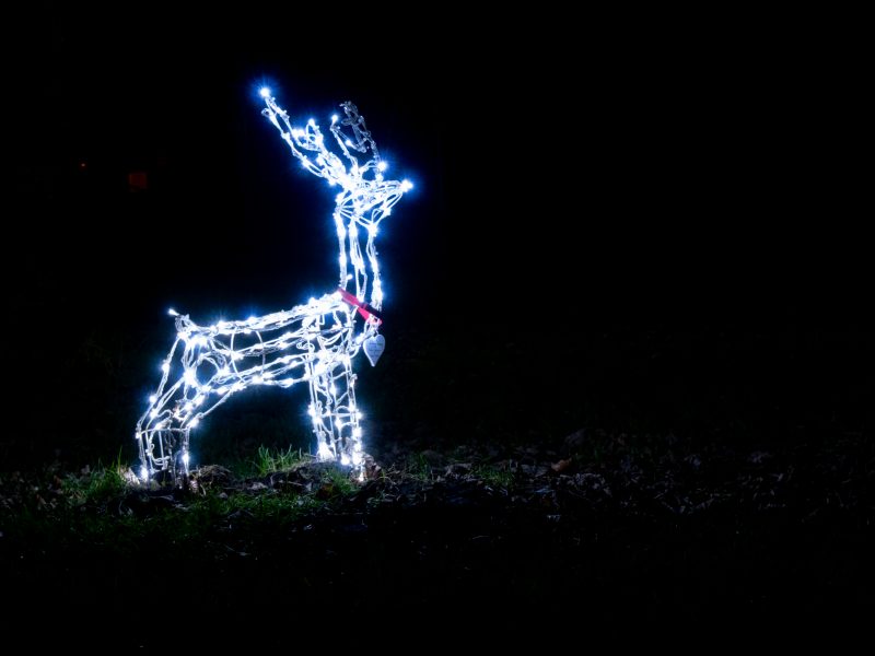 Christmas lights reindeer