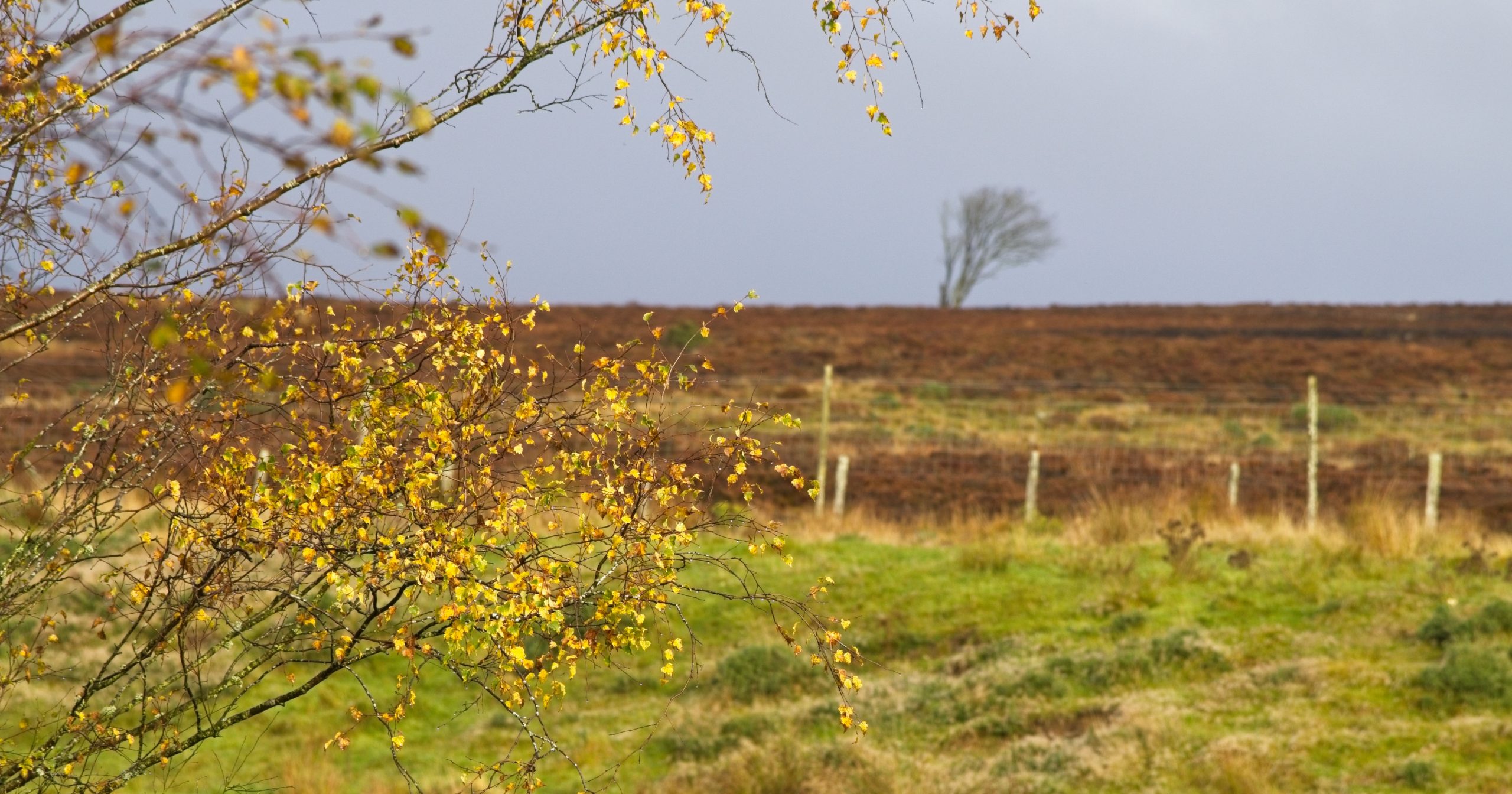 Landscape and Panorama Workshop