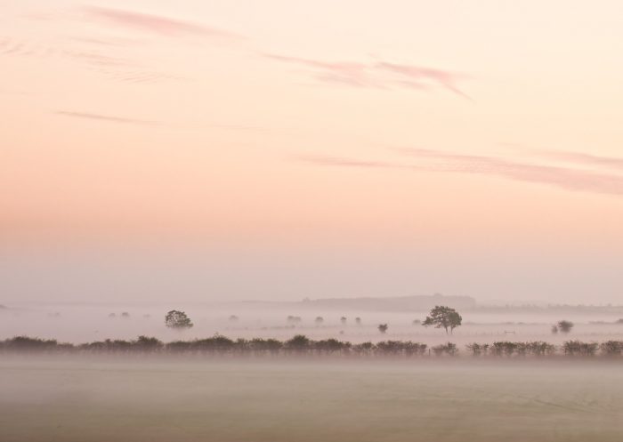 looking over firelds shrouded in mist. A hedgerow and trees are visible in the distance.